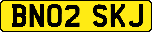 BN02SKJ