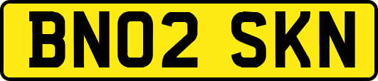 BN02SKN