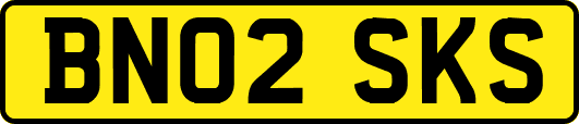 BN02SKS