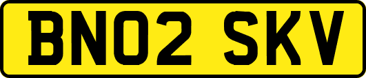BN02SKV