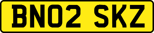 BN02SKZ