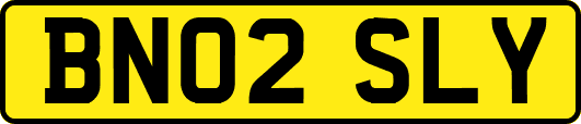 BN02SLY