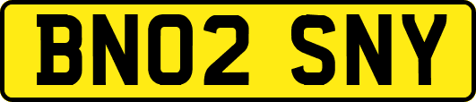 BN02SNY