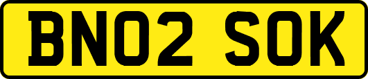 BN02SOK
