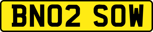 BN02SOW