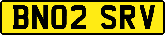 BN02SRV