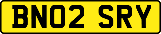 BN02SRY