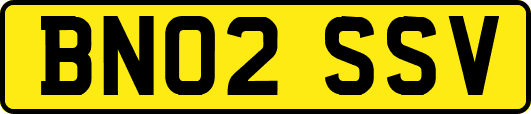 BN02SSV
