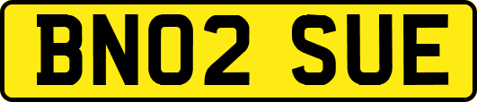 BN02SUE