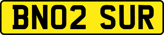 BN02SUR