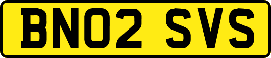 BN02SVS