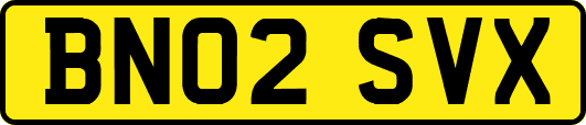 BN02SVX