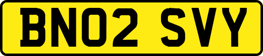 BN02SVY