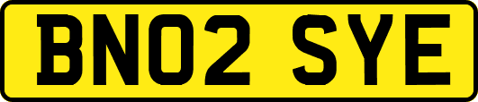 BN02SYE