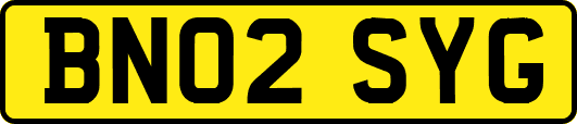 BN02SYG