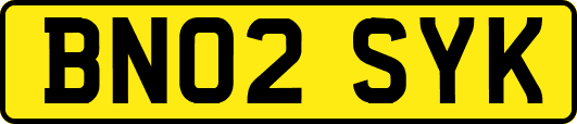 BN02SYK