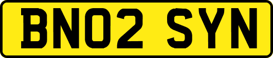 BN02SYN