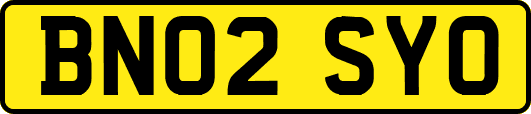 BN02SYO