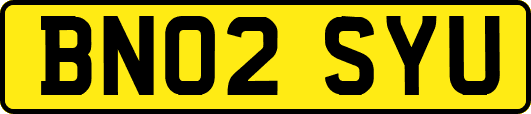 BN02SYU