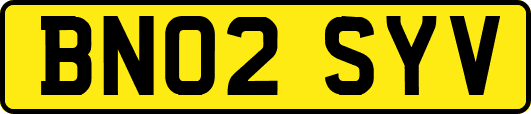 BN02SYV