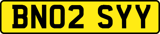 BN02SYY