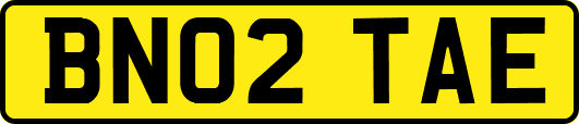BN02TAE