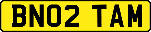 BN02TAM