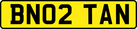 BN02TAN
