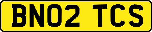 BN02TCS