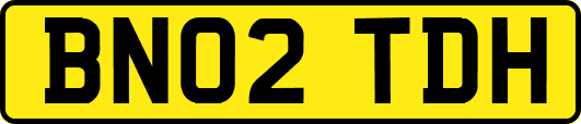 BN02TDH