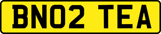 BN02TEA