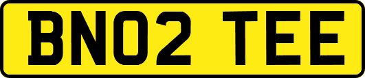 BN02TEE
