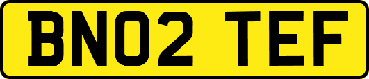 BN02TEF