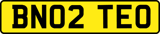 BN02TEO