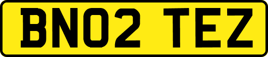 BN02TEZ