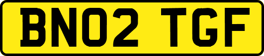 BN02TGF