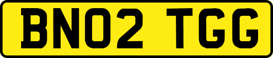 BN02TGG