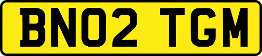 BN02TGM