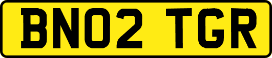 BN02TGR