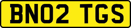 BN02TGS