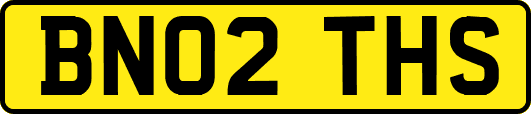 BN02THS