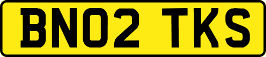 BN02TKS