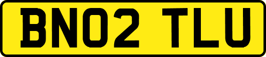 BN02TLU