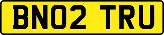 BN02TRU