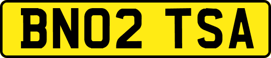 BN02TSA
