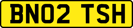 BN02TSH