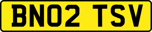 BN02TSV
