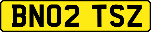 BN02TSZ
