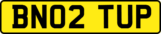 BN02TUP