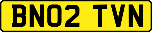 BN02TVN